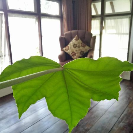 Rumah Pakankamihブキティンギ エクステリア 写真