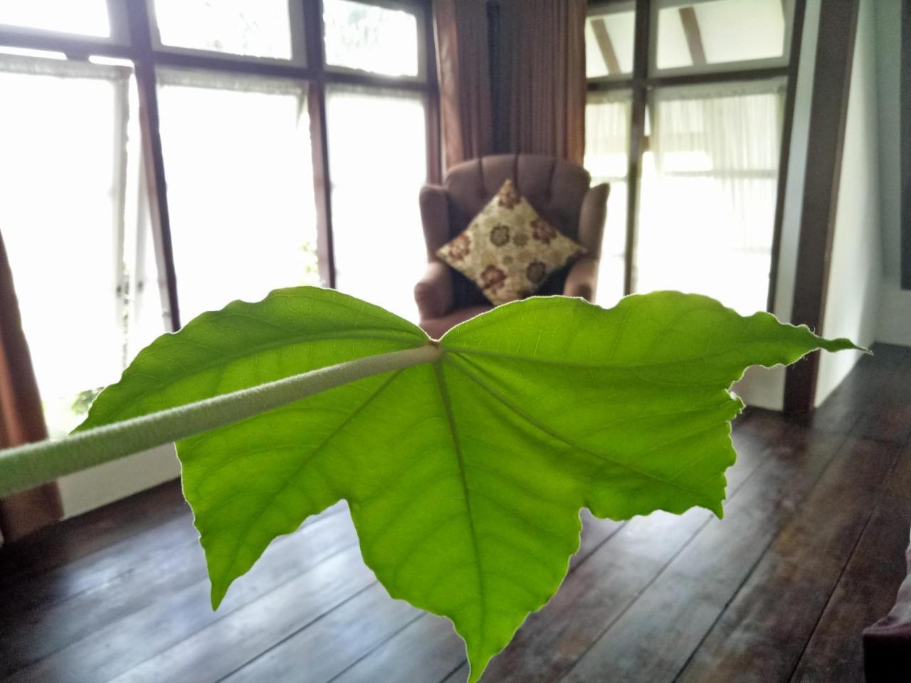 Rumah Pakankamihブキティンギ エクステリア 写真